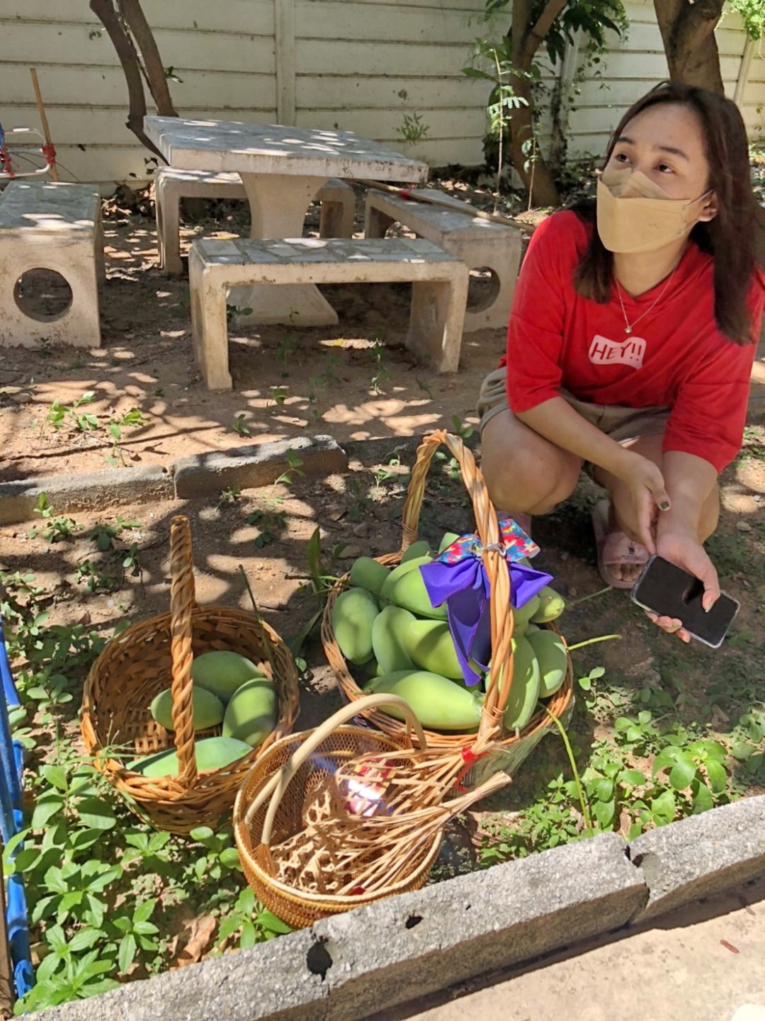 Picking Mangoes Behind Girls Dorm