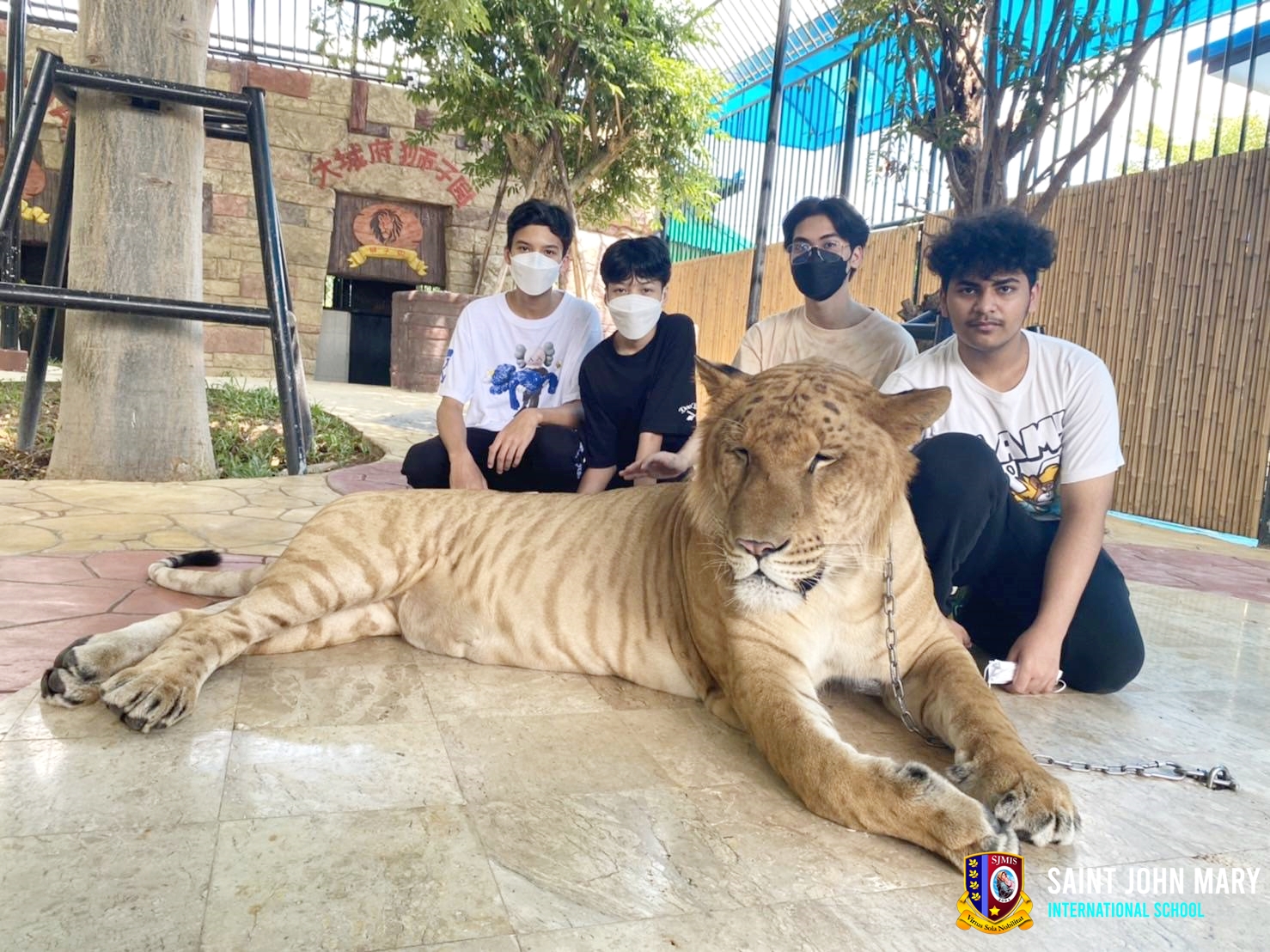 Dorm field trip (Sri Ayutthaya Lion Park)