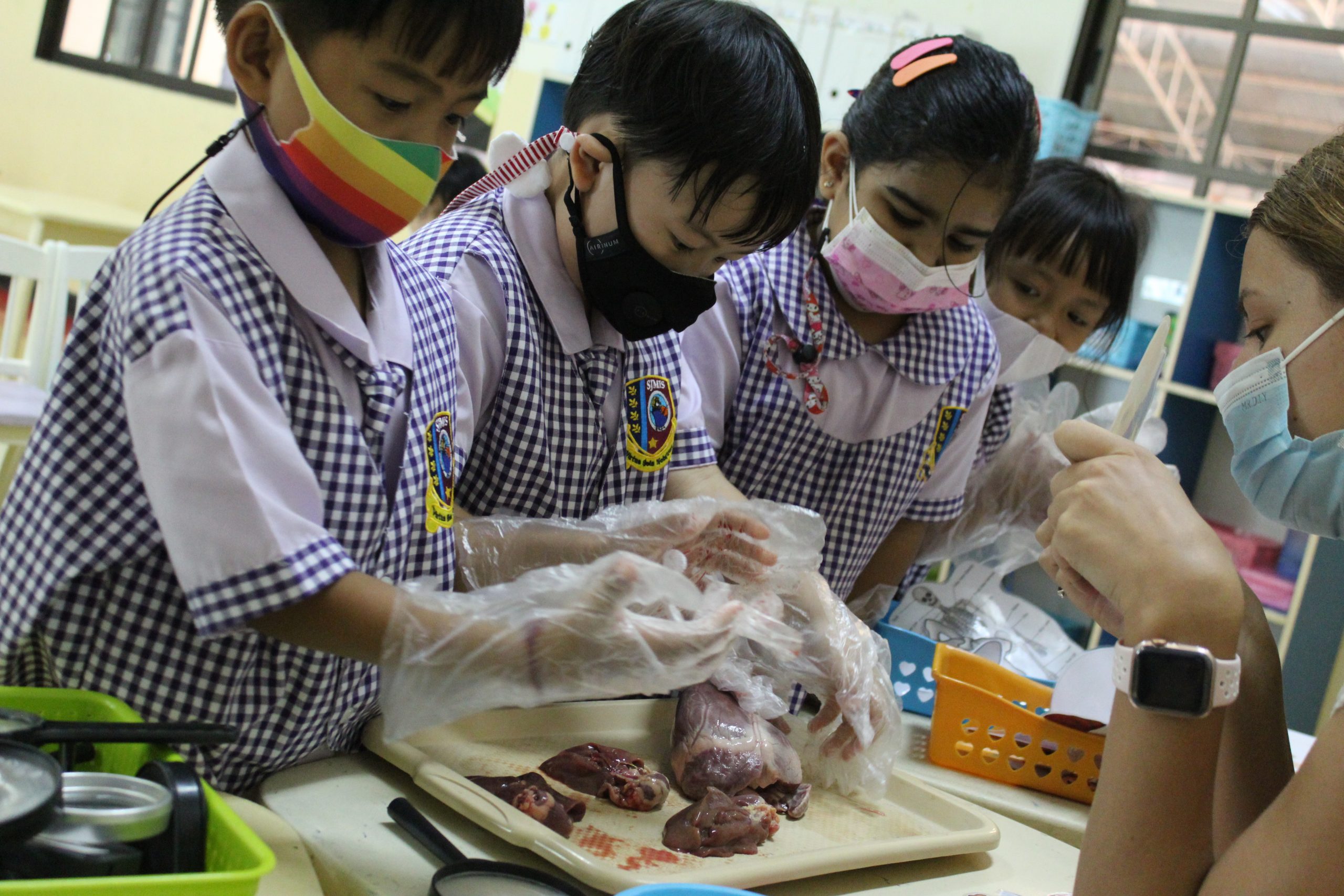 K.3 Observing things inside the body