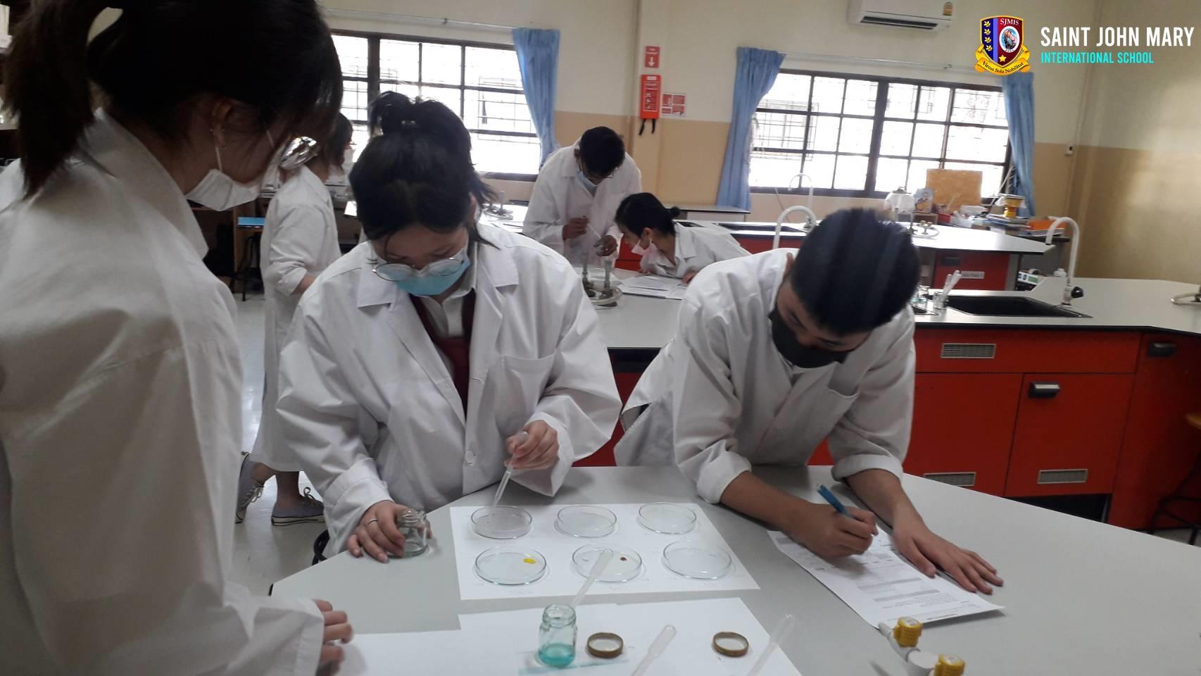 G12 Chemistry, Solubility