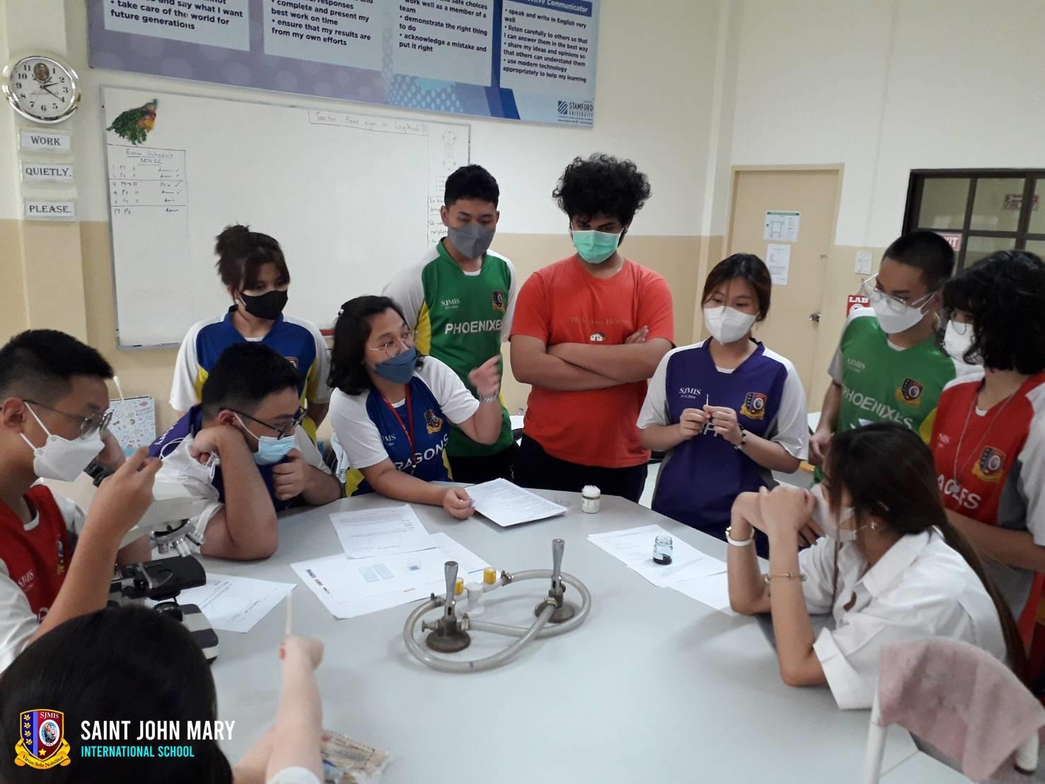 G11 Cheek epithelium cells slide preparation